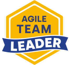 Agile Team Leader