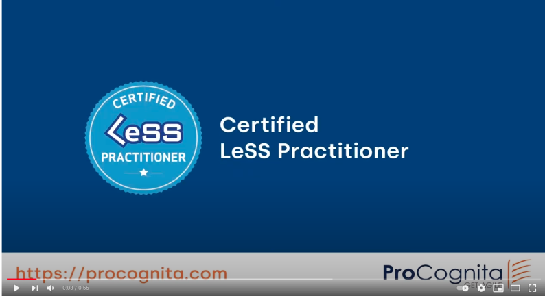 Certified LeSS Practitioner training 