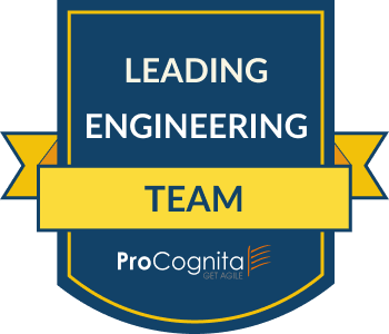 Leading Engineering Team
