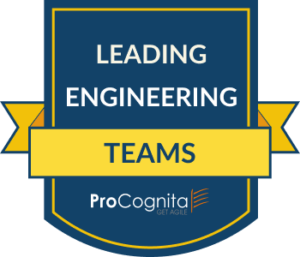 Leading Engineering Team