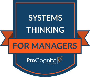 Systems Thinking for Managers