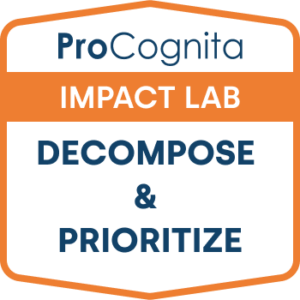 Decompose and Prioritize - ProCognita Impact Lab