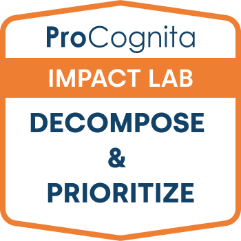Decompose and Prioritize - ProCognita Impact Lab